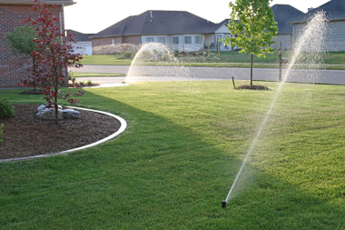 Irrigation/Lighting